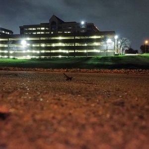 Meet your Posher, Curtis